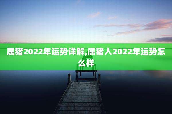 属猪2022年运势详解,属猪人2022年运势怎么样