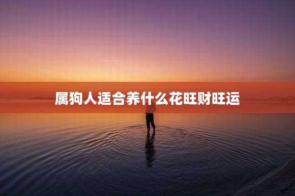 属狗人适合养什么花旺财旺运