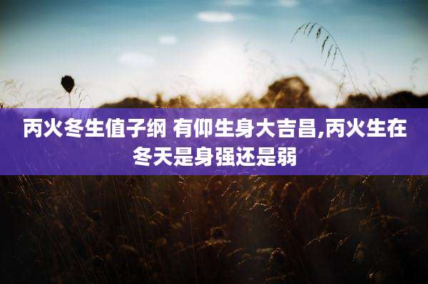 丙火冬生值子纲 有仰生身大吉昌,丙火生在冬天是身强还是弱