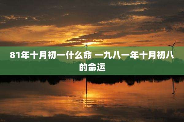 81年十月初一什么命 一九八一年十月初八的命运
