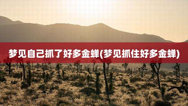 梦见自己抓了好多金蝉(梦见抓住好多金蝉)