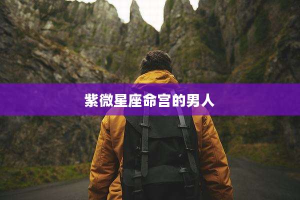 紫微星座命宫的男人