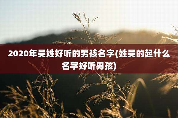 2020年吴姓好听的男孩名字(姓吴的起什么名字好听男孩)