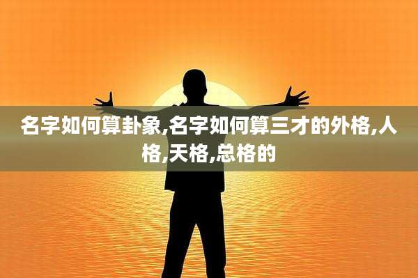 名字如何算卦象,名字如何算三才的外格,人格,天格,总格的
