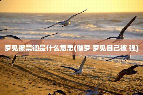 梦见被禁锢是什么意思(做梦 梦见自己被 强)