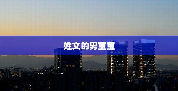 姓文的男宝宝