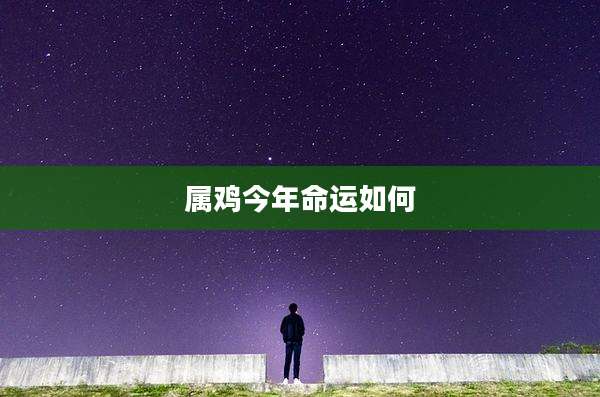 属鸡今年命运如何