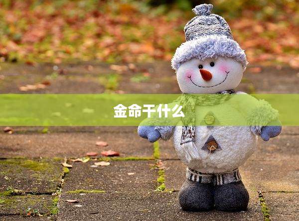 金命干什么