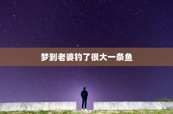 梦到老婆钓了很大一条鱼