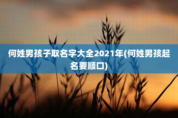 何姓男孩子取名字大全2021年(何姓男孩起名要顺口)