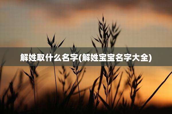 解姓取什么名字(解姓宝宝名字大全)