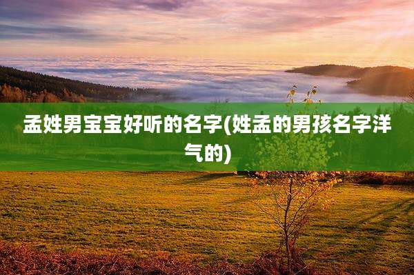 孟姓男宝宝好听的名字(姓孟的男孩名字洋气的)