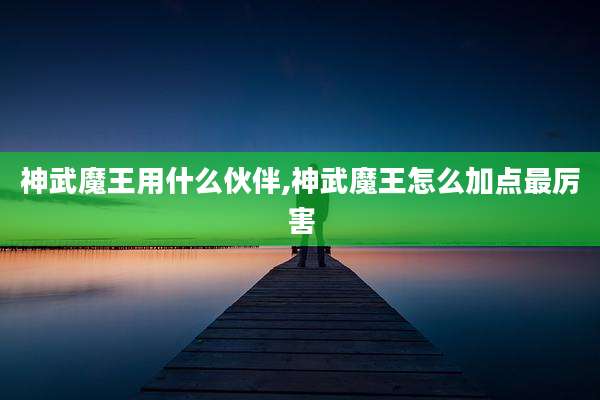 神武魔王用什么伙伴,神武魔王怎么加点最厉害