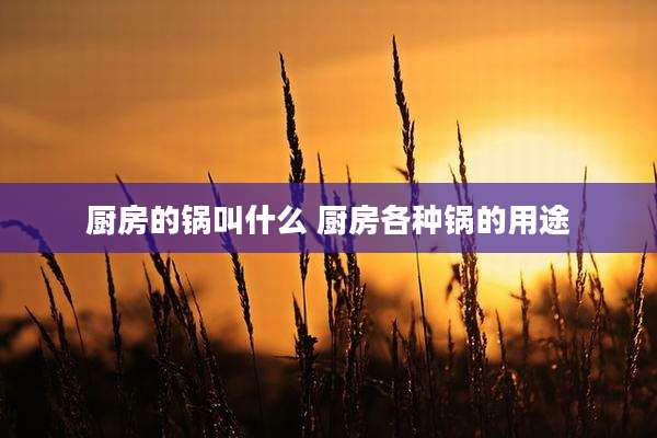 厨房的锅叫什么 厨房各种锅的用途