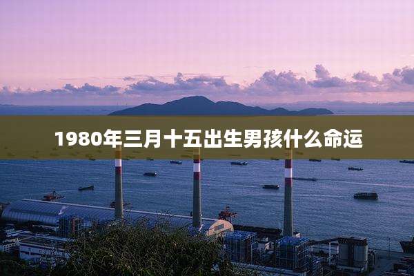 1980年三月十五出生男孩什么命运