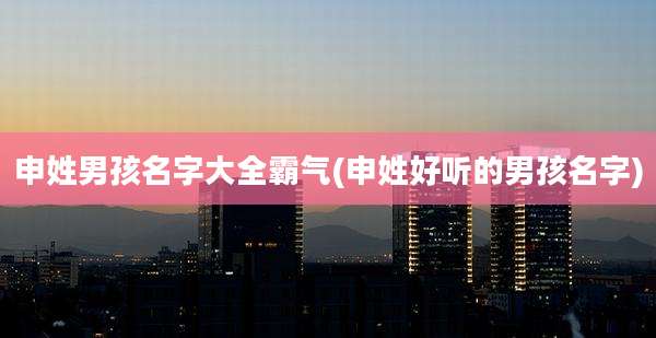 申姓男孩名字大全霸气(申姓好听的男孩名字)