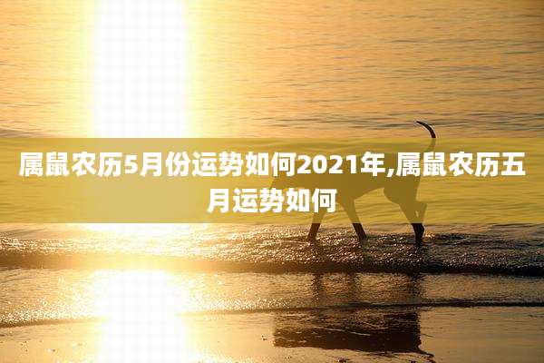 属鼠农历5月份运势如何2021年,属鼠农历五月运势如何