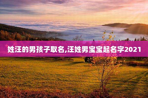 姓汪的男孩子取名,汪姓男宝宝起名字2021