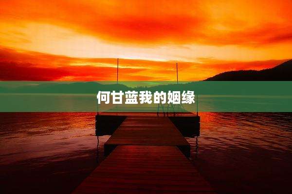 何甘蓝我的姻缘