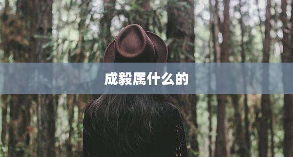 成毅属什么的