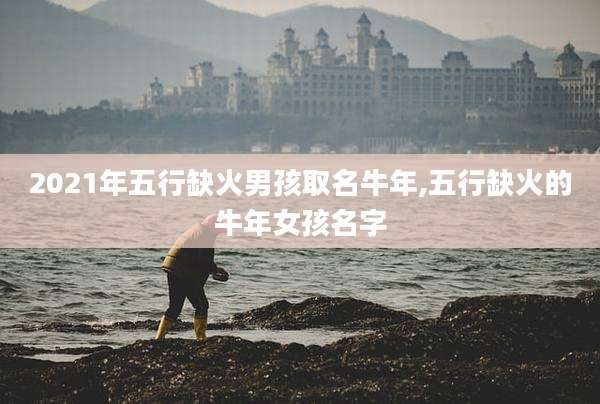 2021年五行缺火男孩取名牛年,五行缺火的牛年女孩名字