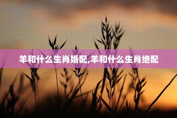 羊和什么生肖婚配,羊和什么生肖绝配
