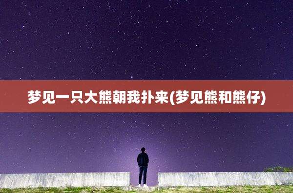 梦见一只大熊朝我扑来(梦见熊和熊仔)