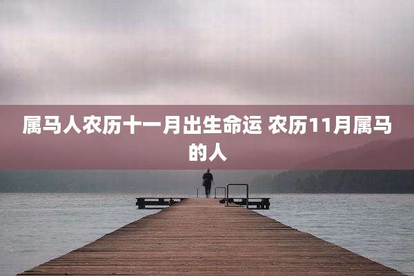 属马人农历十一月出生命运 农历11月属马的人