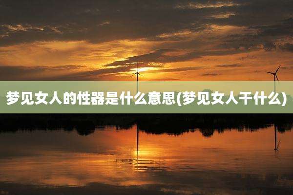 梦见女人的性器是什么意思(梦见女人干什么)