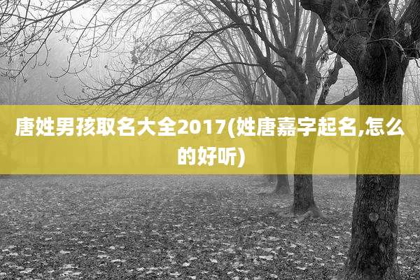 唐姓男孩取名大全2017(姓唐嘉字起名,怎么的好听)
