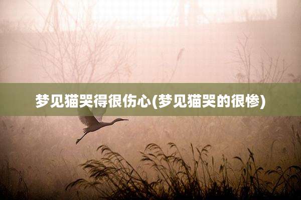 梦见猫哭得很伤心(梦见猫哭的很惨)