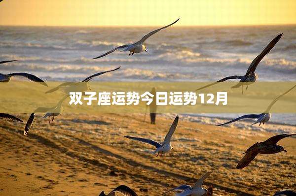 双子座运势今日运势12月