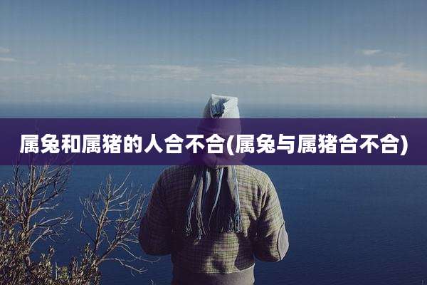 属兔和属猪的人合不合(属兔与属猪合不合)