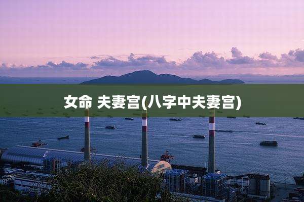 女命 夫妻宫(八字中夫妻宫)