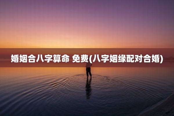婚姻合八字算命 免费(八字姻缘配对合婚)