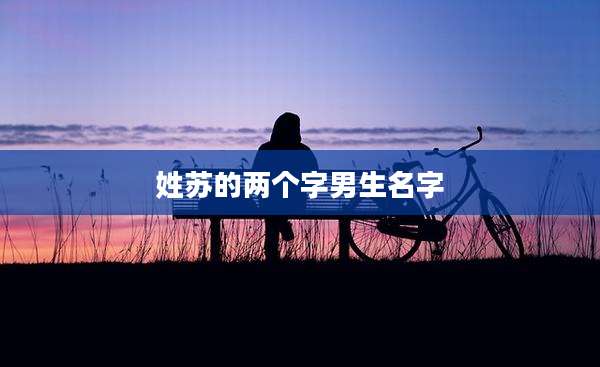 姓苏的两个字男生名字