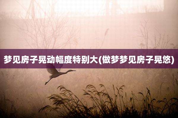 梦见房子晃动幅度特别大(做梦梦见房子晃悠)