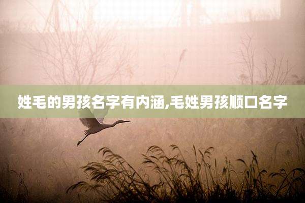姓毛的男孩名字有内涵,毛姓男孩顺口名字