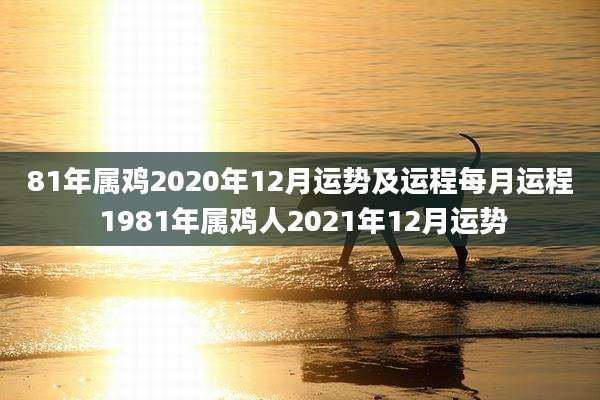 81年属鸡2020年12月运势及运程每月运程 1981年属鸡人2021年12月运势
