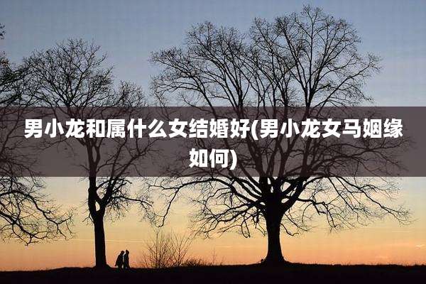 男小龙和属什么女结婚好(男小龙女马姻缘如何)