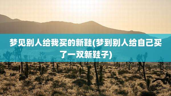 梦见别人给我买的新鞋(梦到别人给自己买了一双新鞋子)