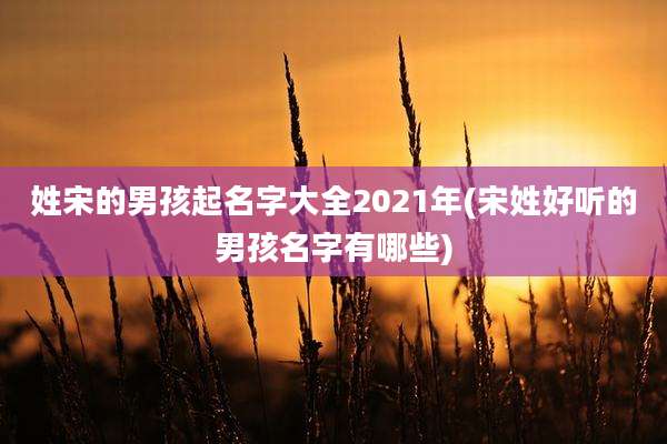 姓宋的男孩起名字大全2021年(宋姓好听的男孩名字有哪些)
