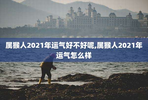 属猴人2021年运气好不好呢,属猴人2021年运气怎么样