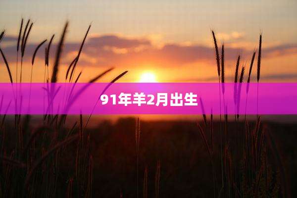 91年羊2月出生