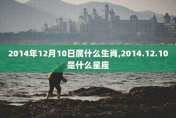 2014年12月10日属什么生肖,2014.12.10是什么星座