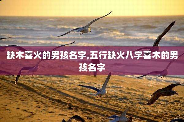缺木喜火的男孩名字,五行缺火八字喜木的男孩名字