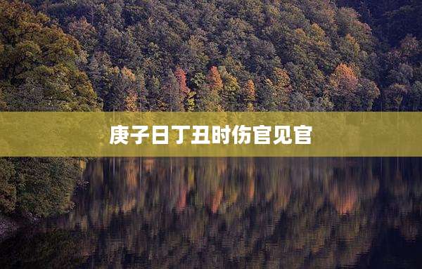 庚子日丁丑时伤官见官
