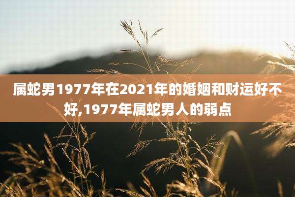 属蛇男1977年在2021年的婚姻和财运好不好,1977年属蛇男人的弱点