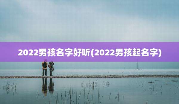 2022男孩名字好听(2022男孩起名字)