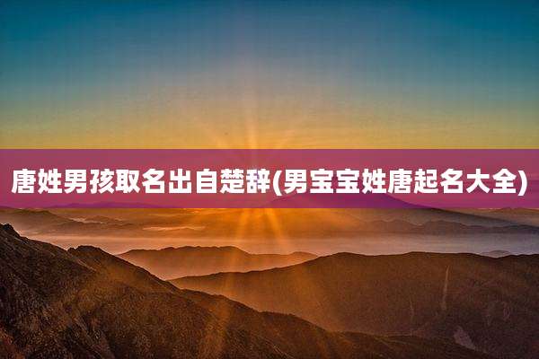 唐姓男孩取名出自楚辞(男宝宝姓唐起名大全)